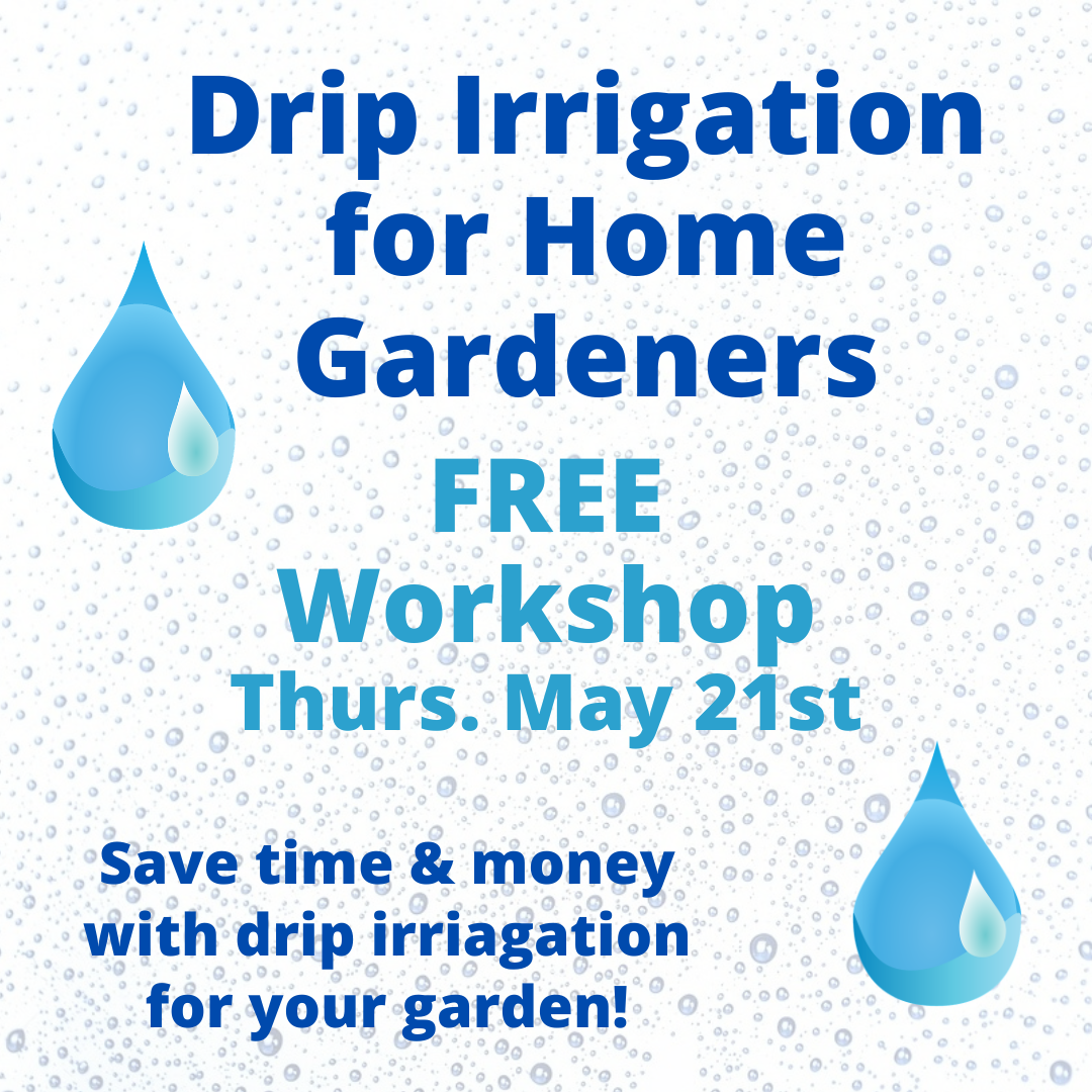 Free Class: Drip Irrigation 101 with Tilth