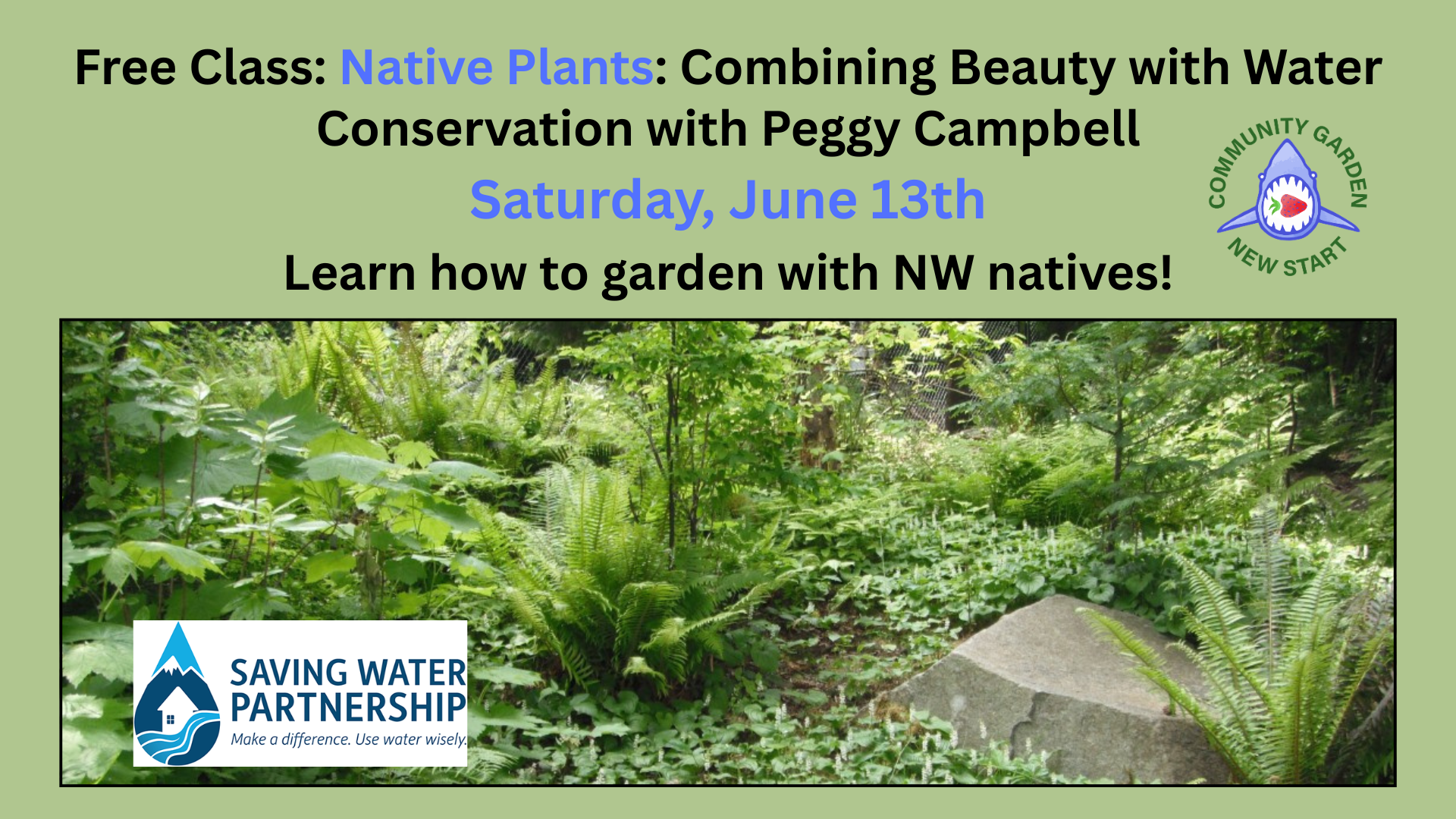 FREE Class: Native Plants & Drought Tolerance with Peggy Campbell