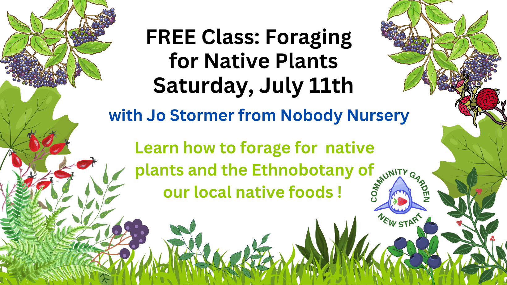 Free Class: Foraging for Native Plants with Jo Stormer