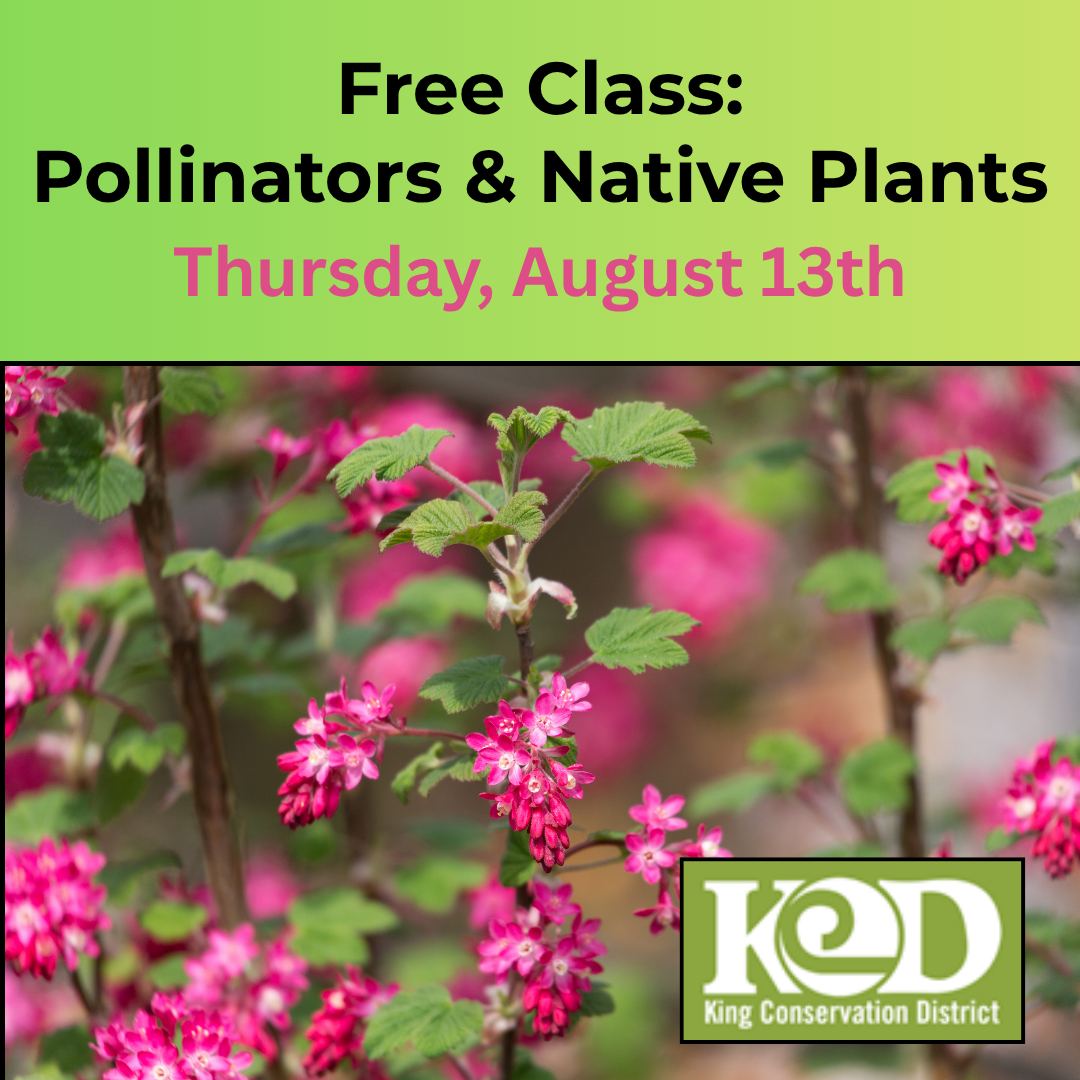 Free Class: Pollinators & Native Plants