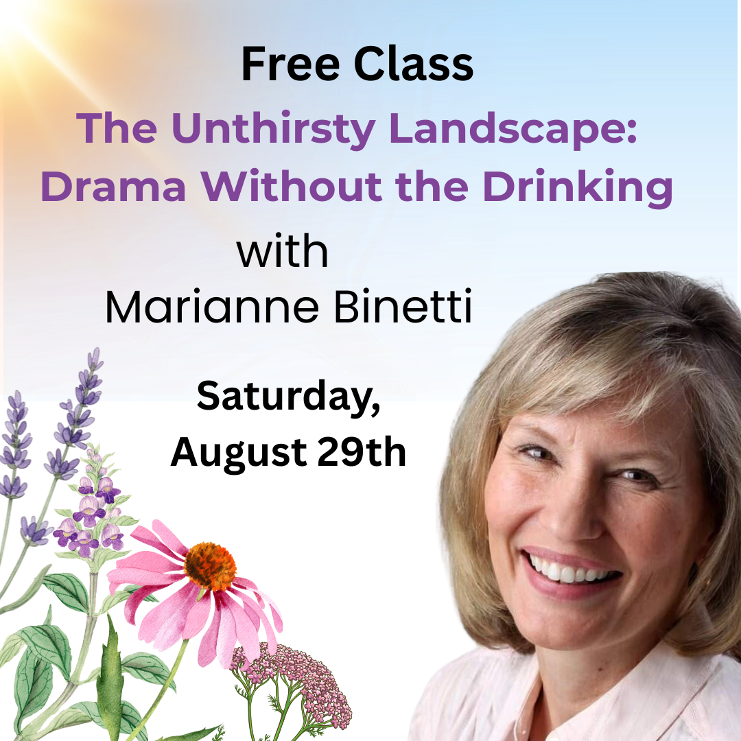 Free Class: The Unthirsty Landscape: Drama Without the Drinking with Marianne Binetti