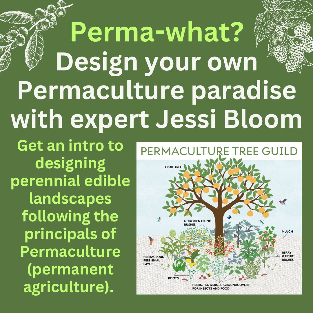 Free Class: Perma-what? Designing Your Own Permaculture Paradise with Jessi Bloom
