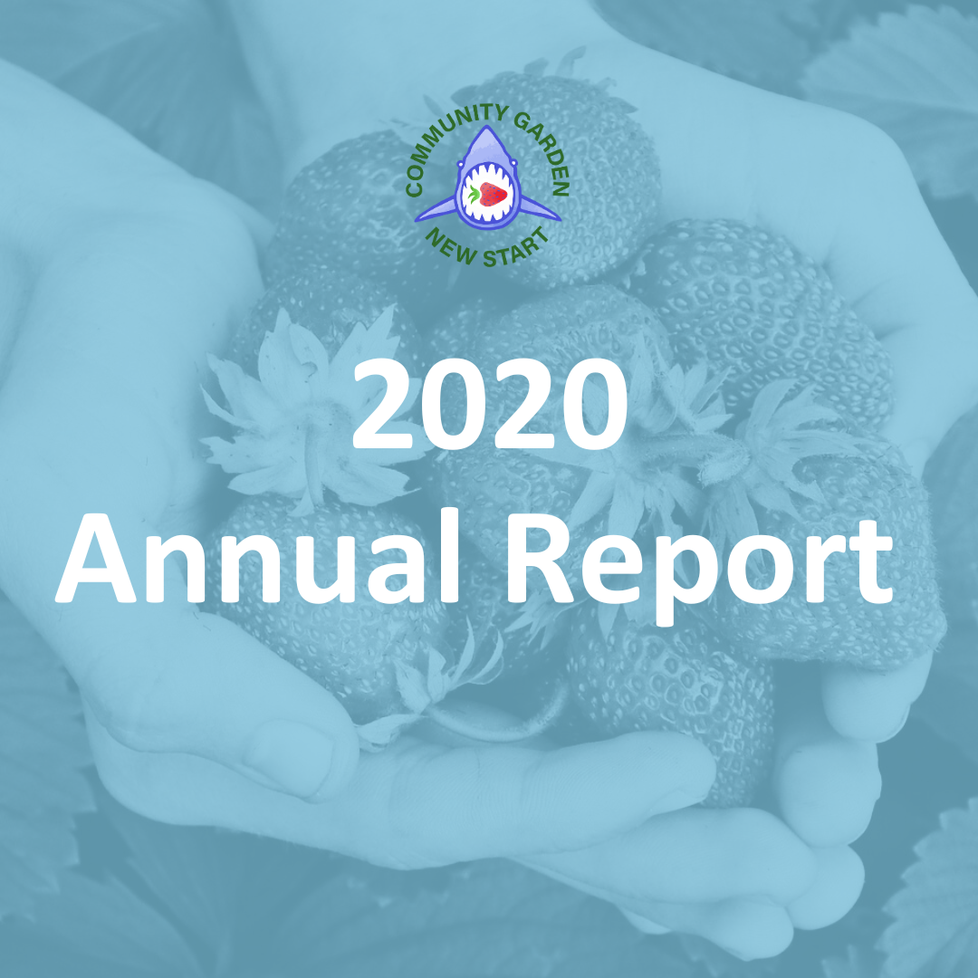 2020 Annual Report.png