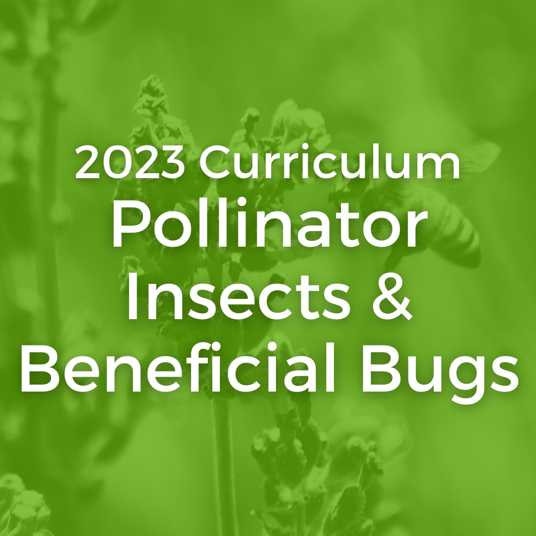 square image with bright green overlay and a bee landing on a flower in background with white text that says 2023 curriculum pollinator insects & beneficial bugs