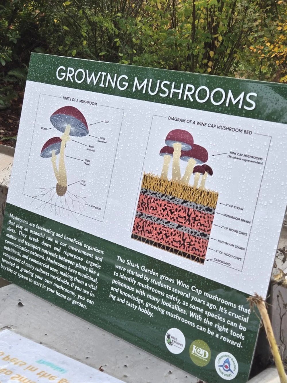 Mushroom Growing Info Sign