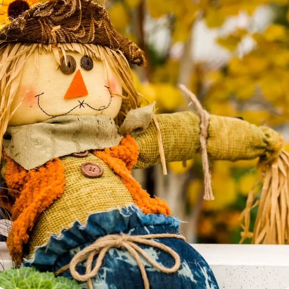 Scarecrow-contest.webp