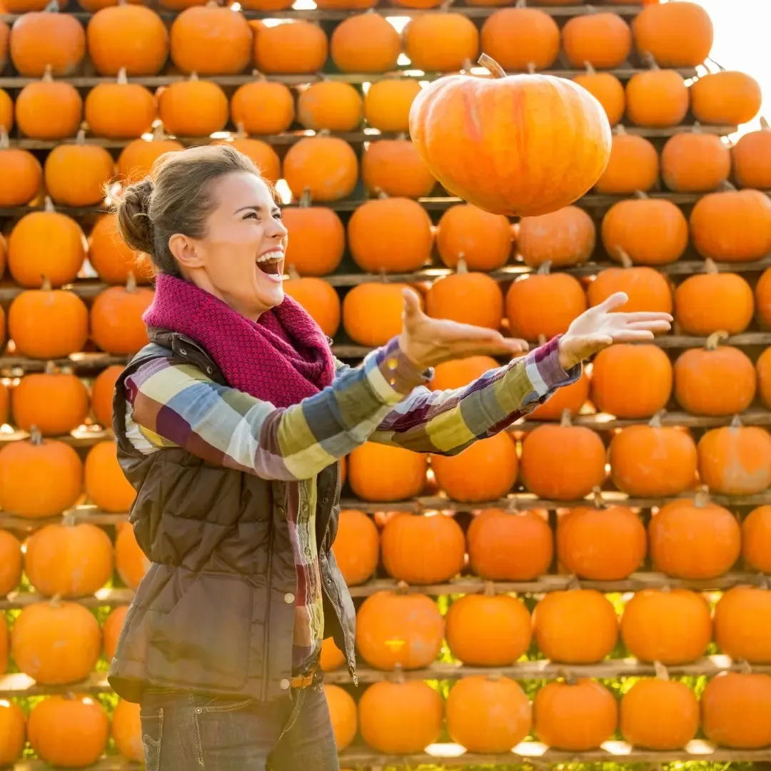 Pumpkin-Chunkin.webp