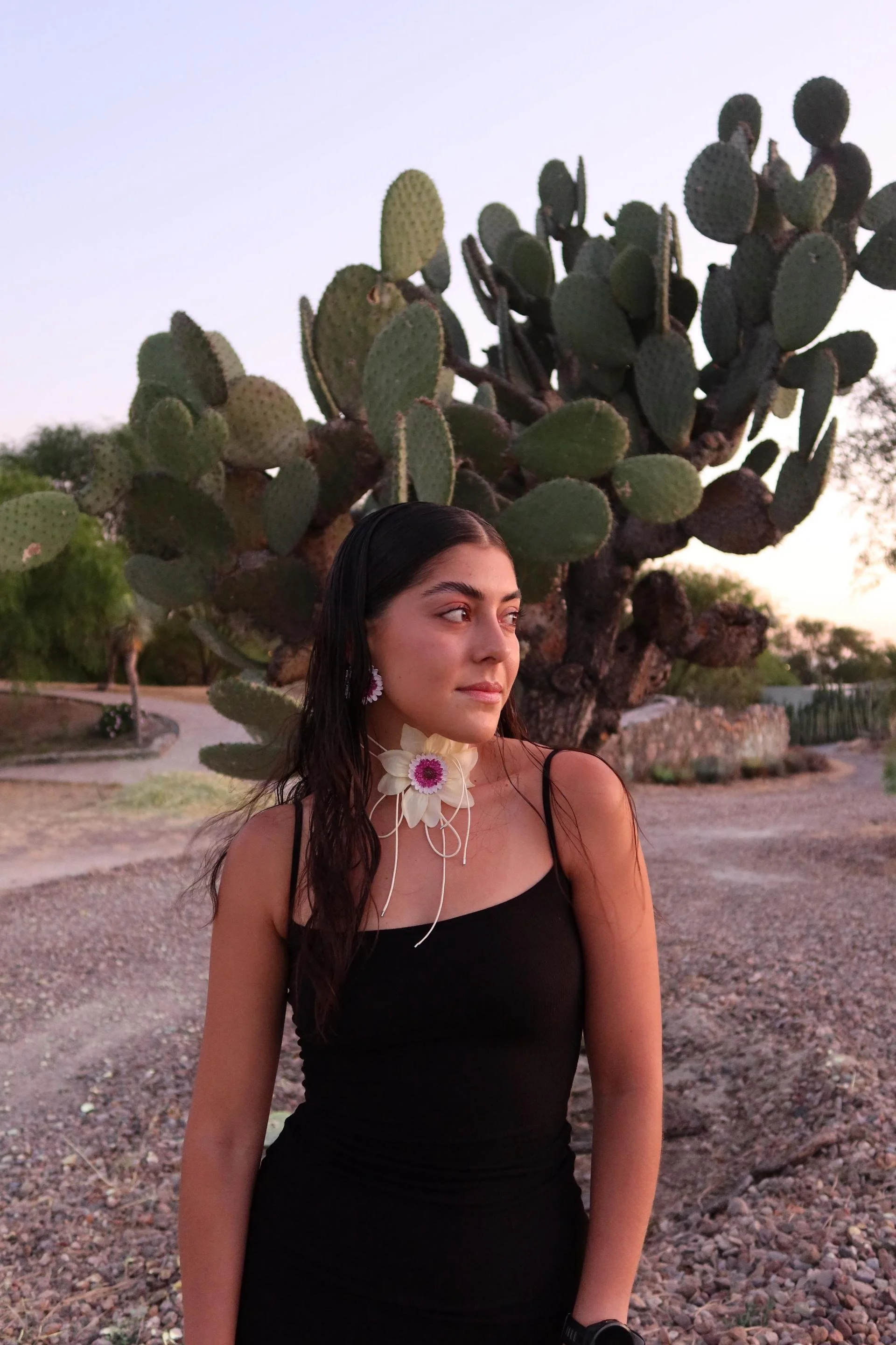 WhatsApp Image 2025-04-14 at 1.17.33 PM (2).jpeg