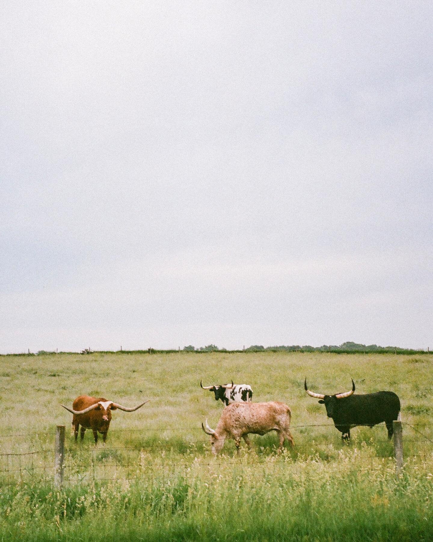 Wisconsin, USA🌾🚜

Developed by @rockvillecamera
 #werockfilm #shotonfilm #countryliving #wisconsin