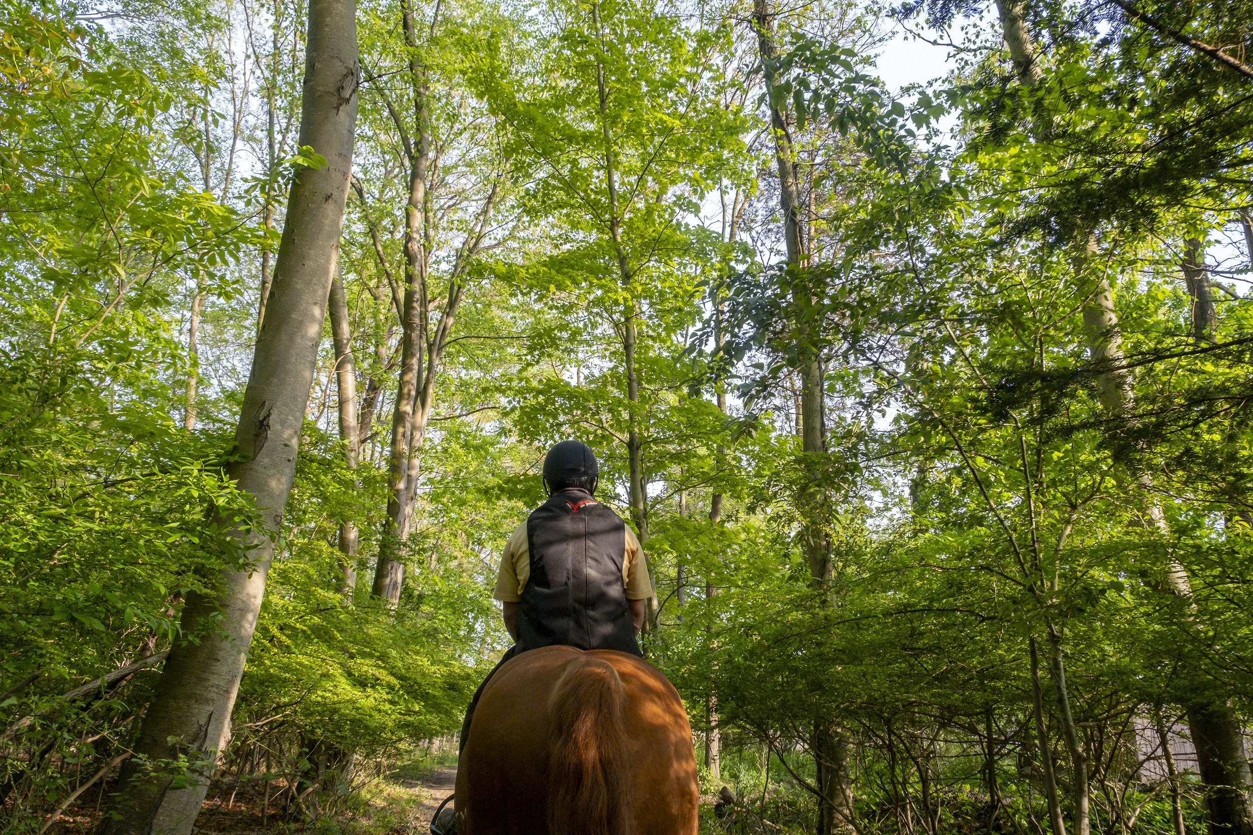 DelRio-20180101-DDRFARM-MattandKingston-051 copy.jpg