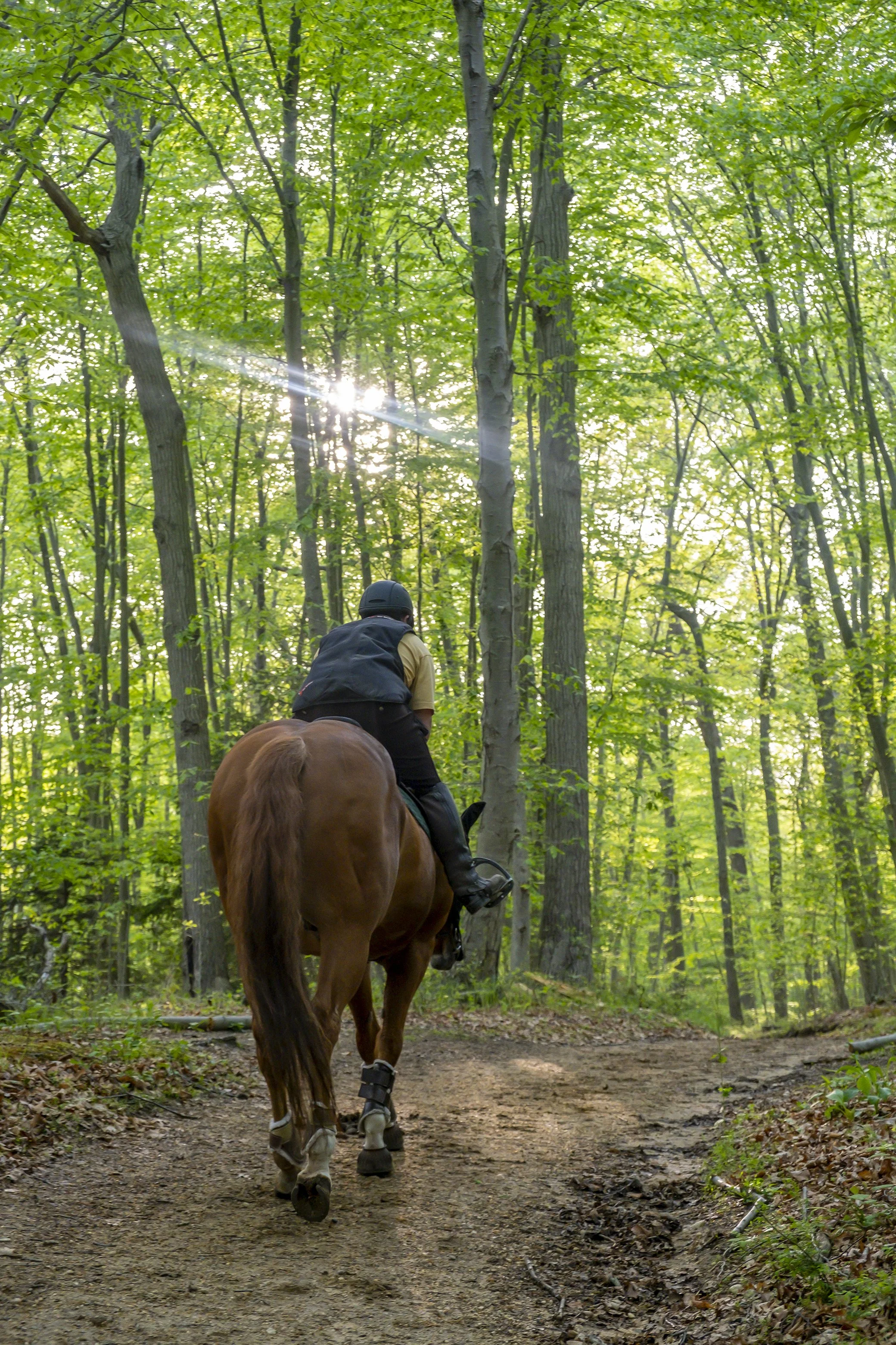 DelRio-20180101-DDRFARM-MattandKingston-024 copy.jpg