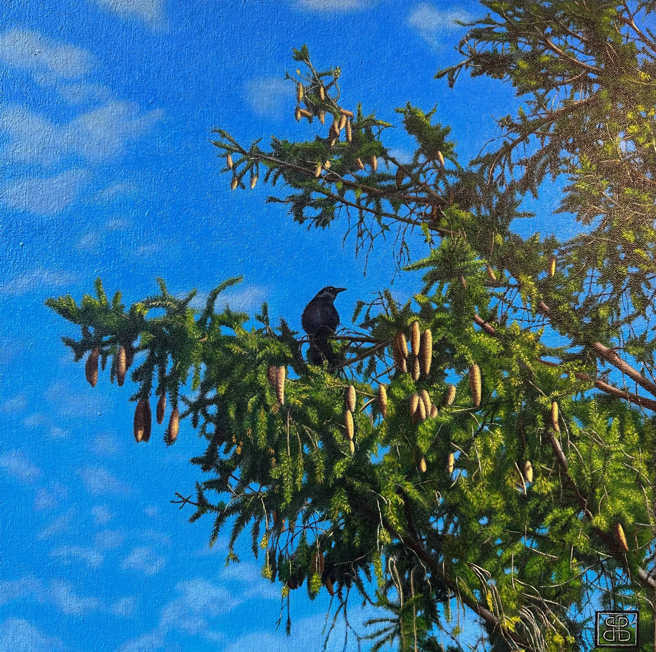 Crow.jpeg