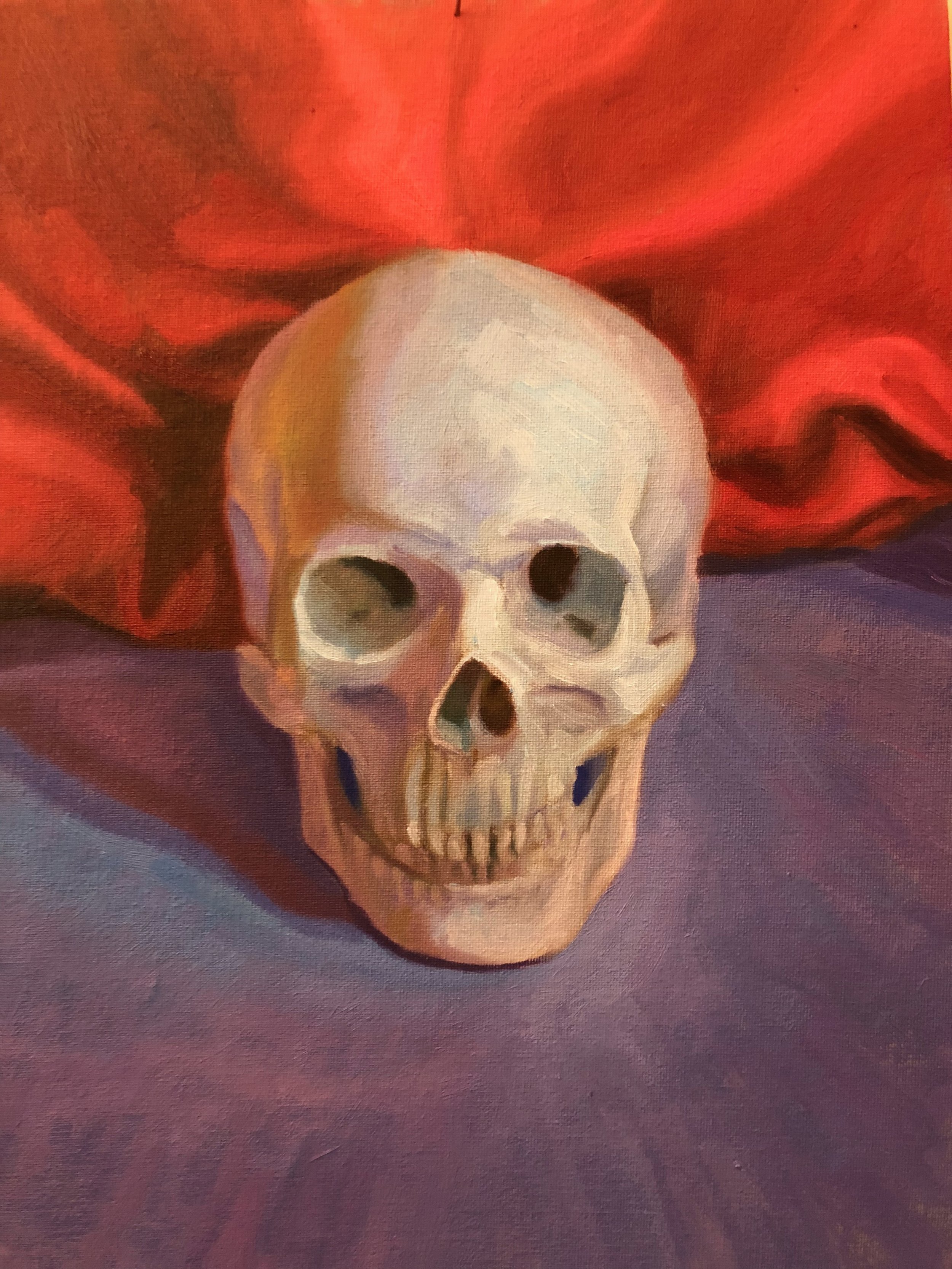 Skull -
Oil on Canvas