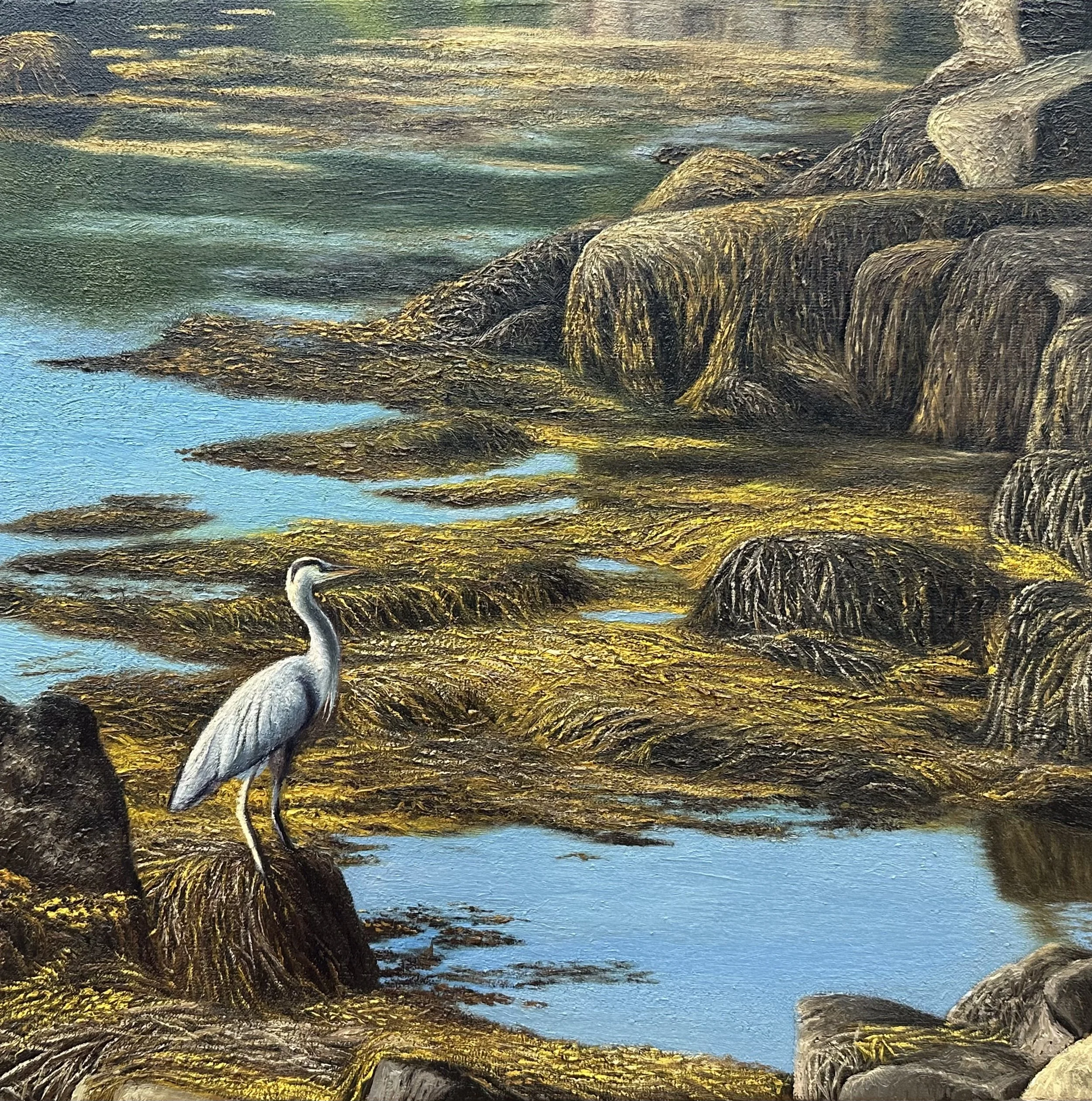 Heron in the Harbor.jpeg