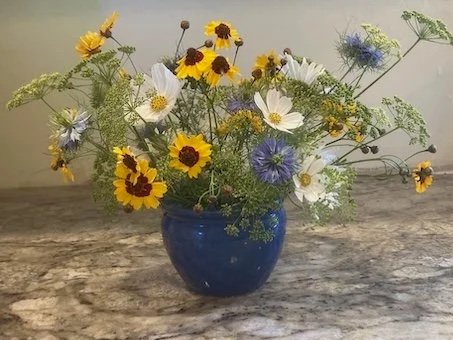 Blue+nigella%2C+yellow+coreopsis+in+blue+vase.jpg