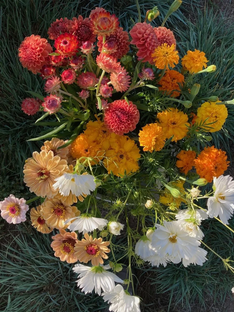 September harvest.jpeg