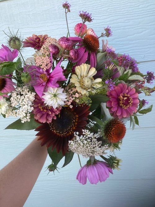 Purple-pink summer CSA bouquet with sunflowers, zinnias, cosmos, yarrow.jpeg