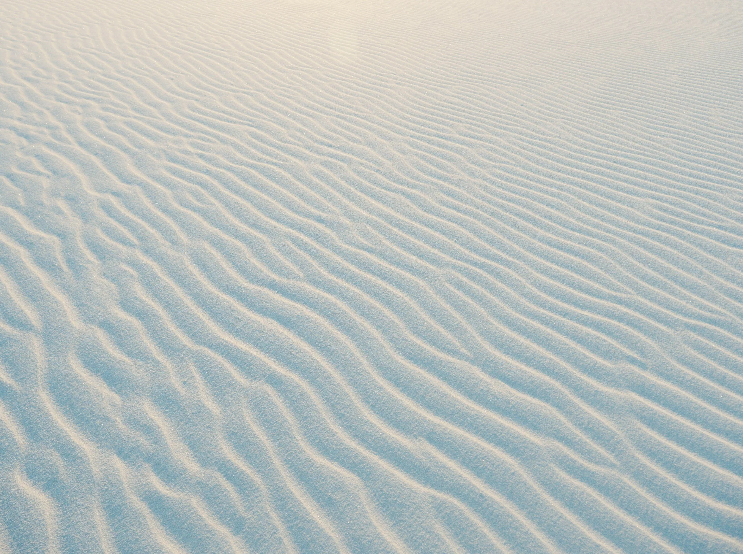 Specialized therapy for empaths and highly sensitive people in Los Angeles.