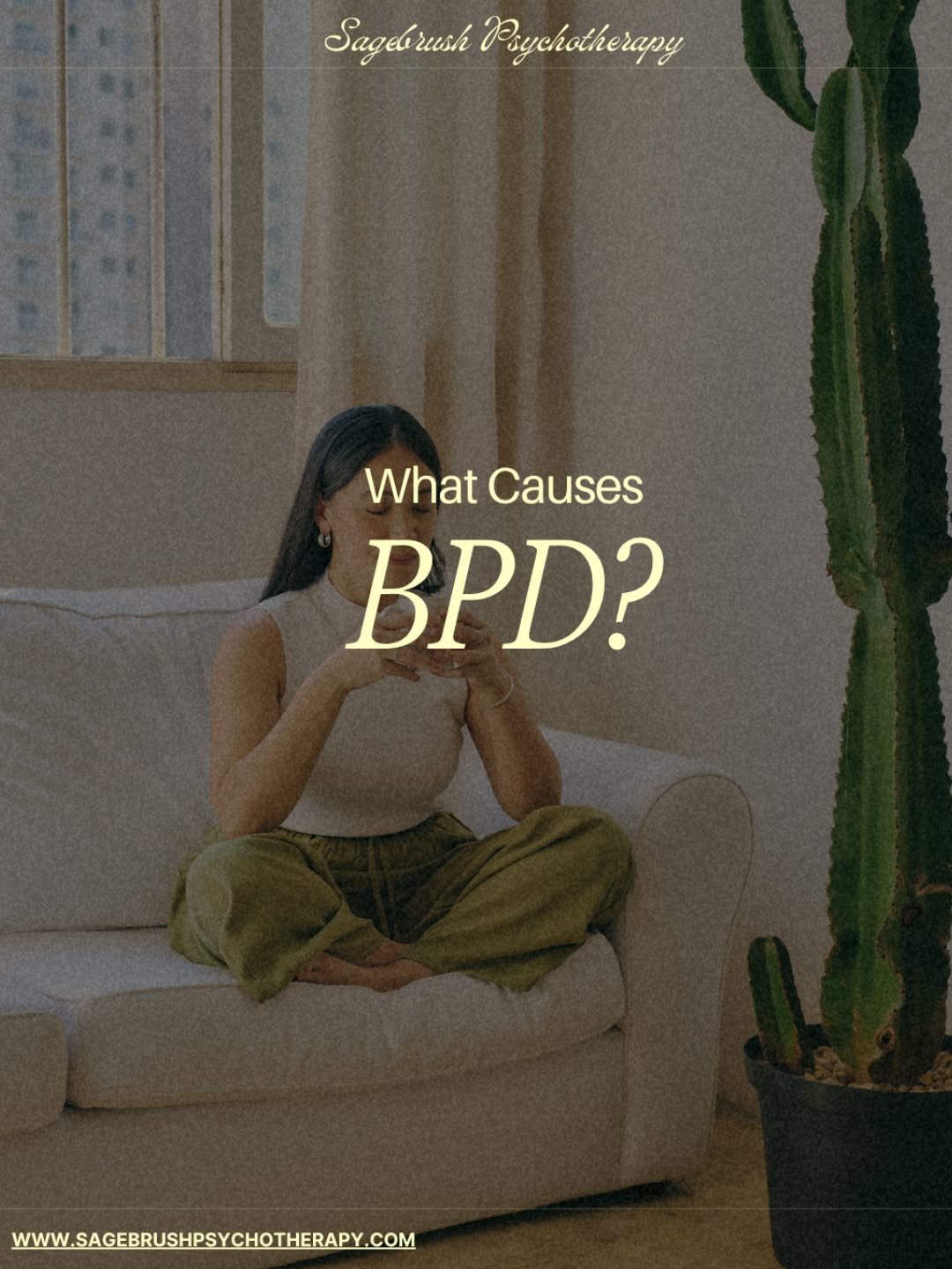 Borderline Personality Disorder forms through a mix of biology and early environment. A sensitive nervous system, paired with trauma, neglect, chronic invalidation, or caregivers who didn&rsquo;t know how to respond, can shape lifelong patterns in ho