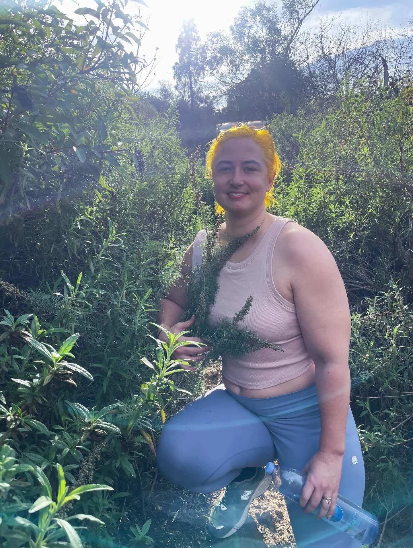 Happy Thanksgiving from Sagebrush Psychotherapy.
Today we&rsquo;re honoring the plant that inspired our name and the people who have cared for this land long before us. California sagebrush has been used by the Chumash and other Native communities fo