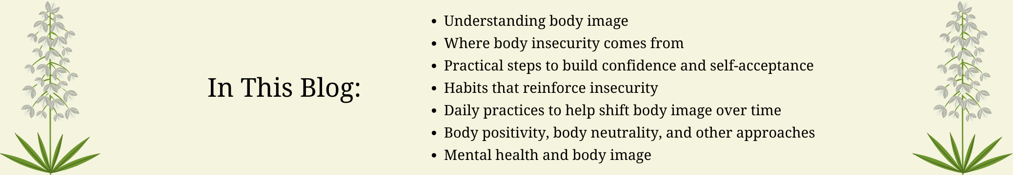 Blog overview graphic listing body image topics, self-acceptance steps, habits, daily practice, and mental health themes