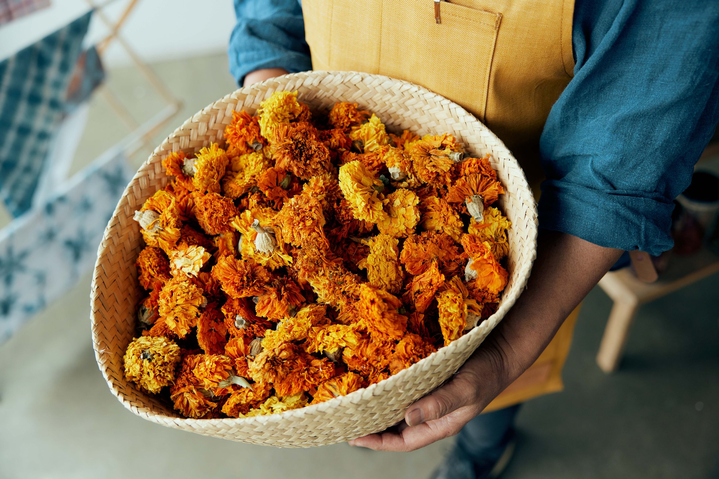 SMB-Seattle-Botanical-Colors-1050 copy.jpg