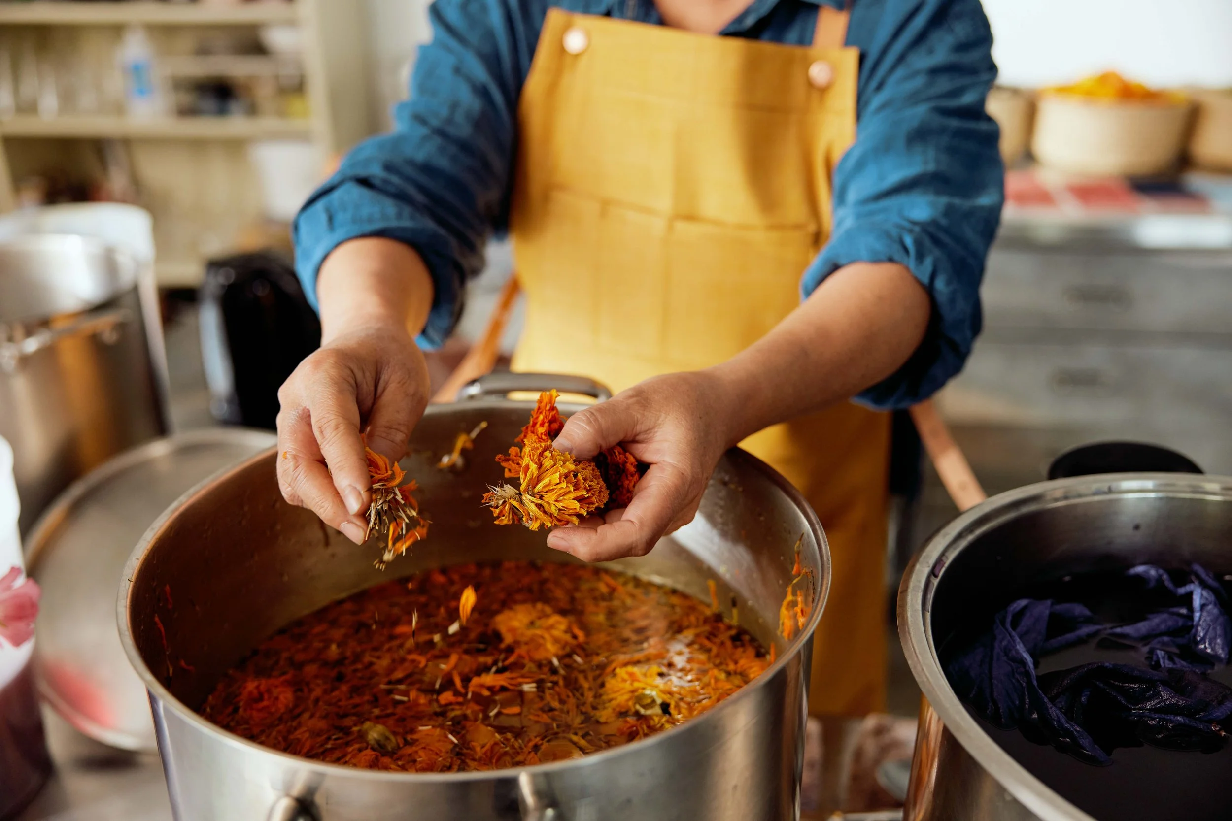 SMB-Seattle-Botanical-Colors-0590 copy.jpg