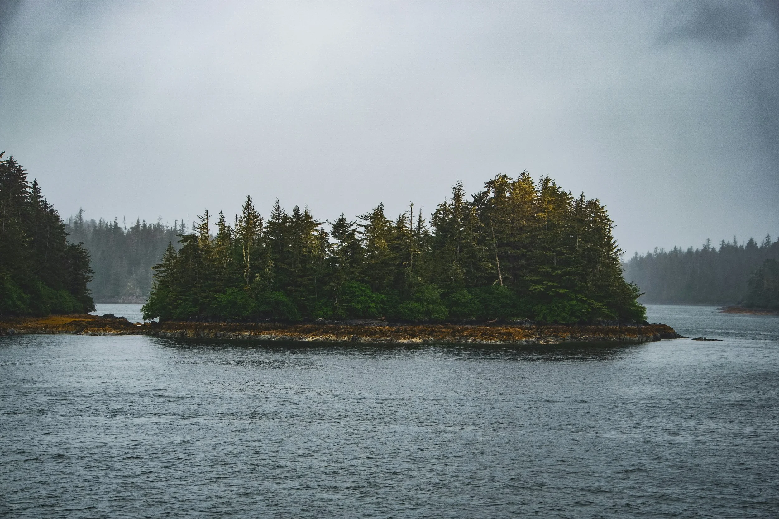 e-orlando-ZipzauSVsOs-unsplash.jpg