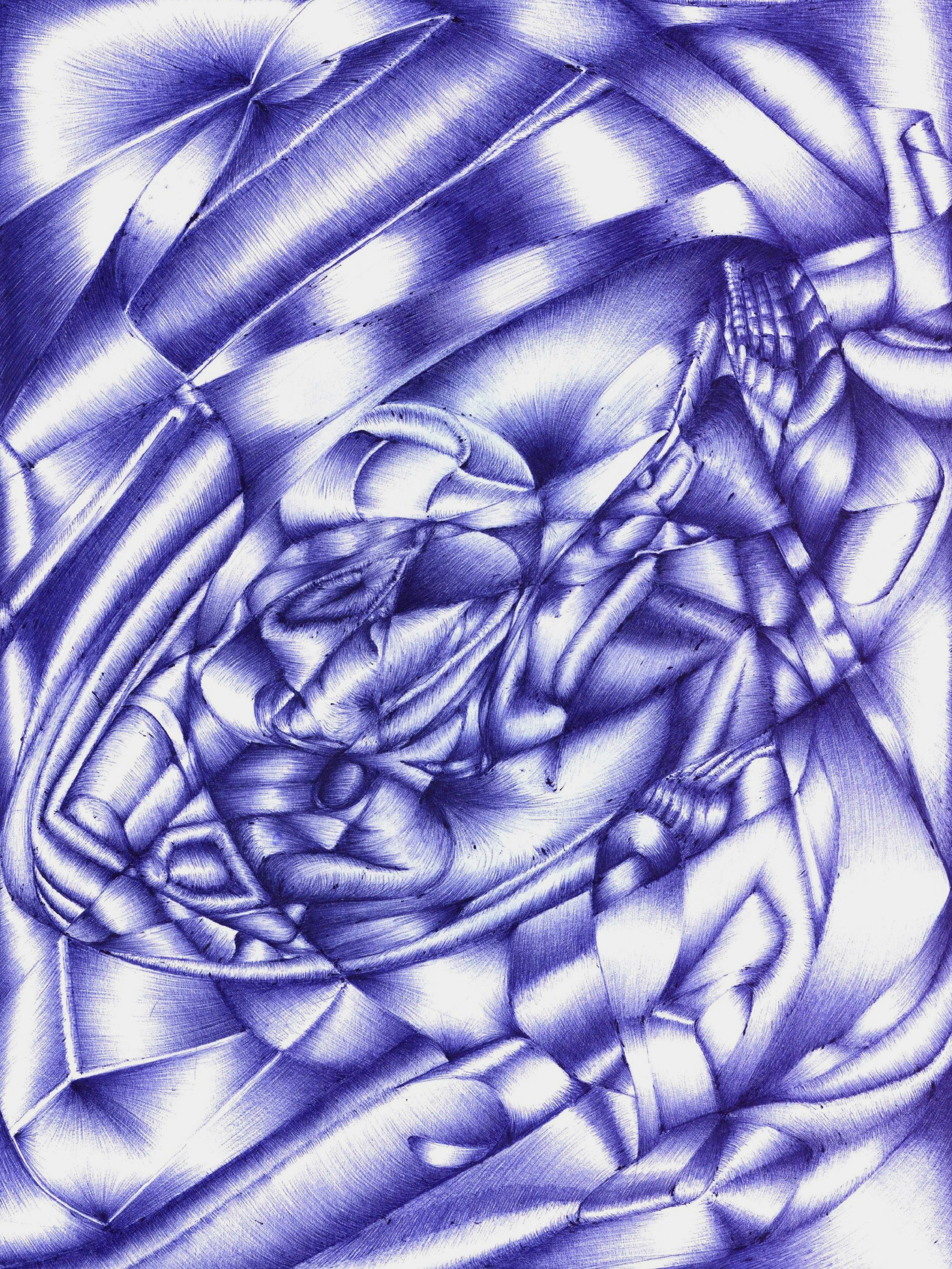 Amalgamation, 2022
Ballpoint Pen on Paper