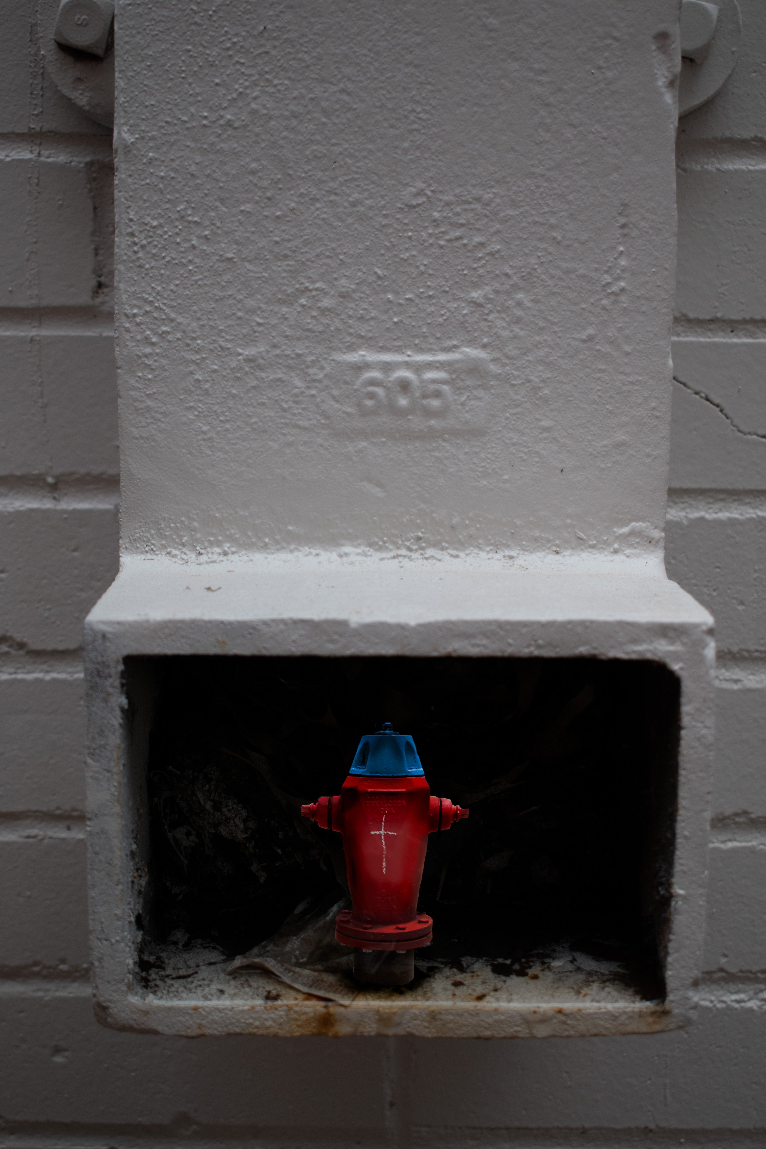 Hide-drant, 2023
Digital Photograph Collage