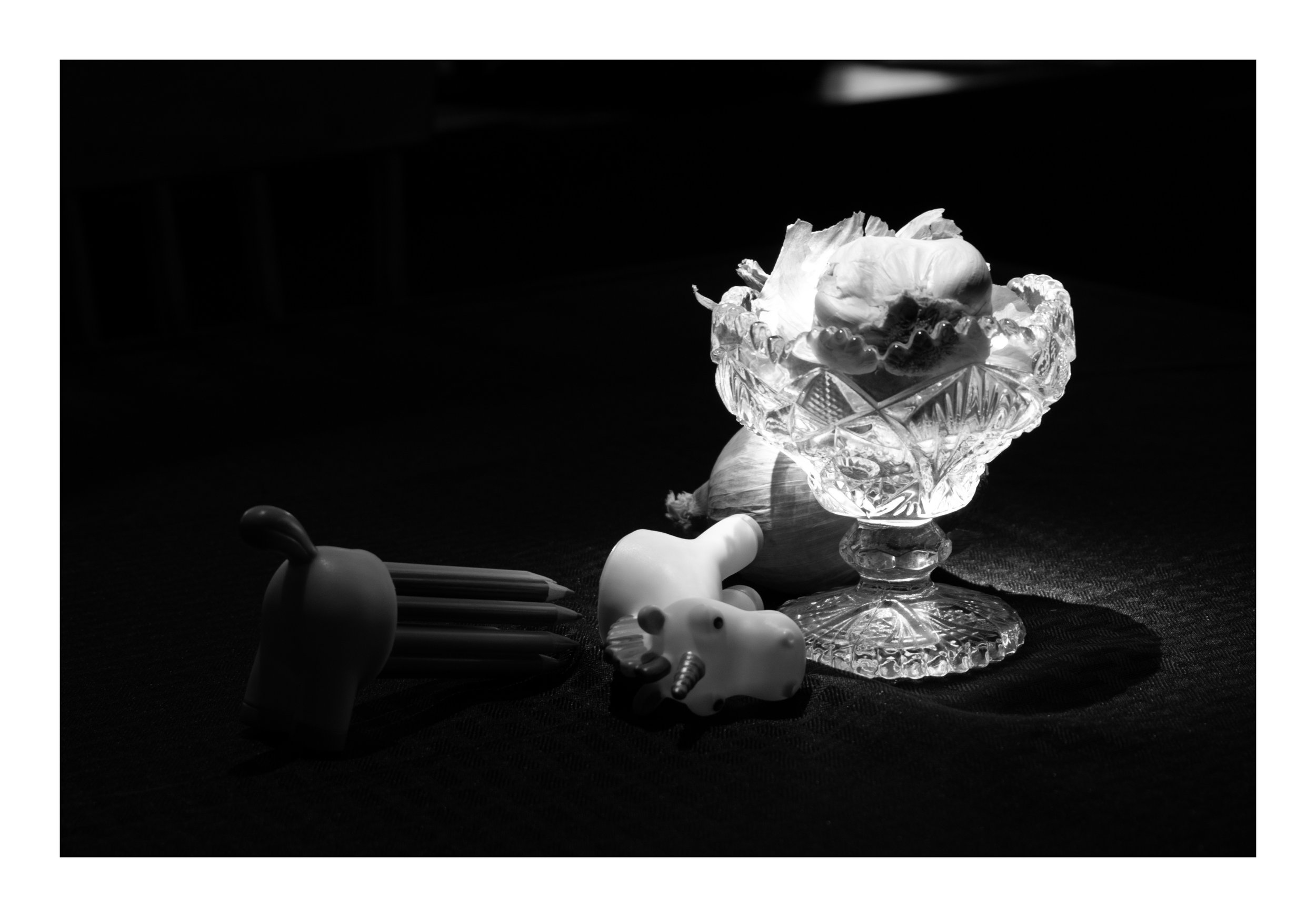 Delicate and Broken, 2023
Digital Photograph