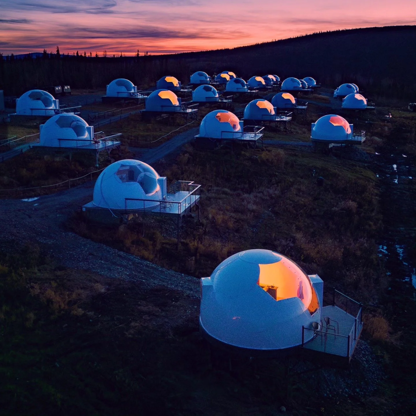 From the Alaska tundra to the best light show (Northern lights) Alaska was unforgettable!