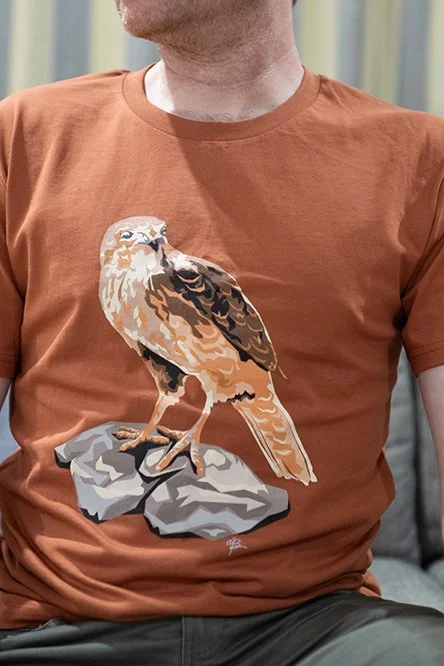 MB-Contemporary-Falcon-Web.jpg