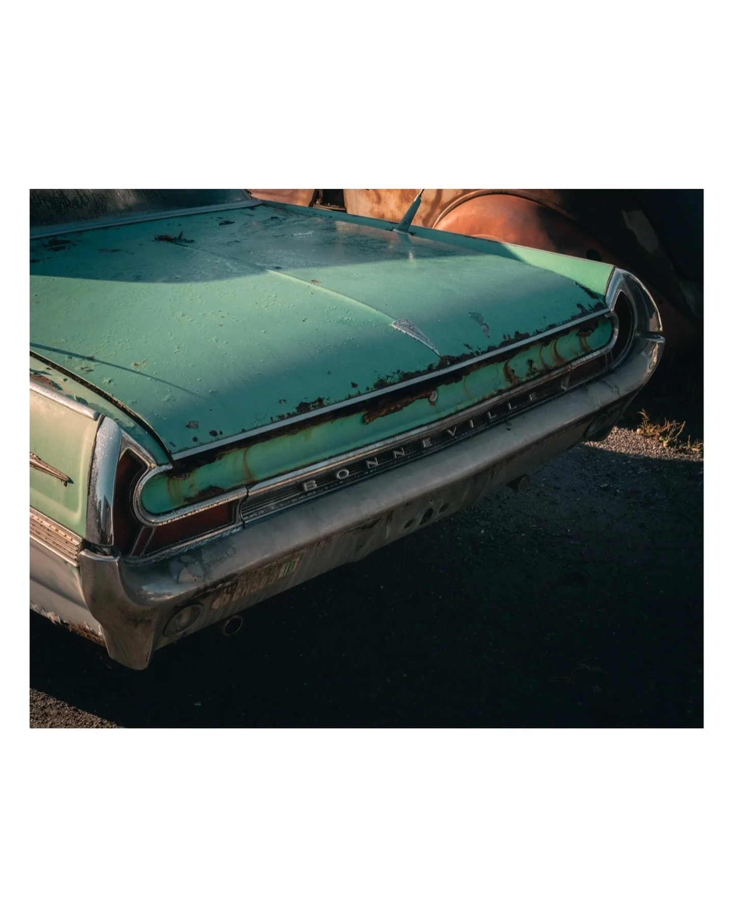 Which back view is your favorite? I&rsquo;ll go first. I like the first one because of the way, the light hits the car and the way the deteriorating paint job and the rust look together.

#fujixseries #fujifilm #fujifilmx_us #fujifilmrecipe #fujixwee