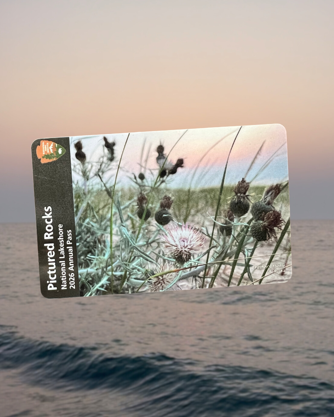 Untitled design (1).png