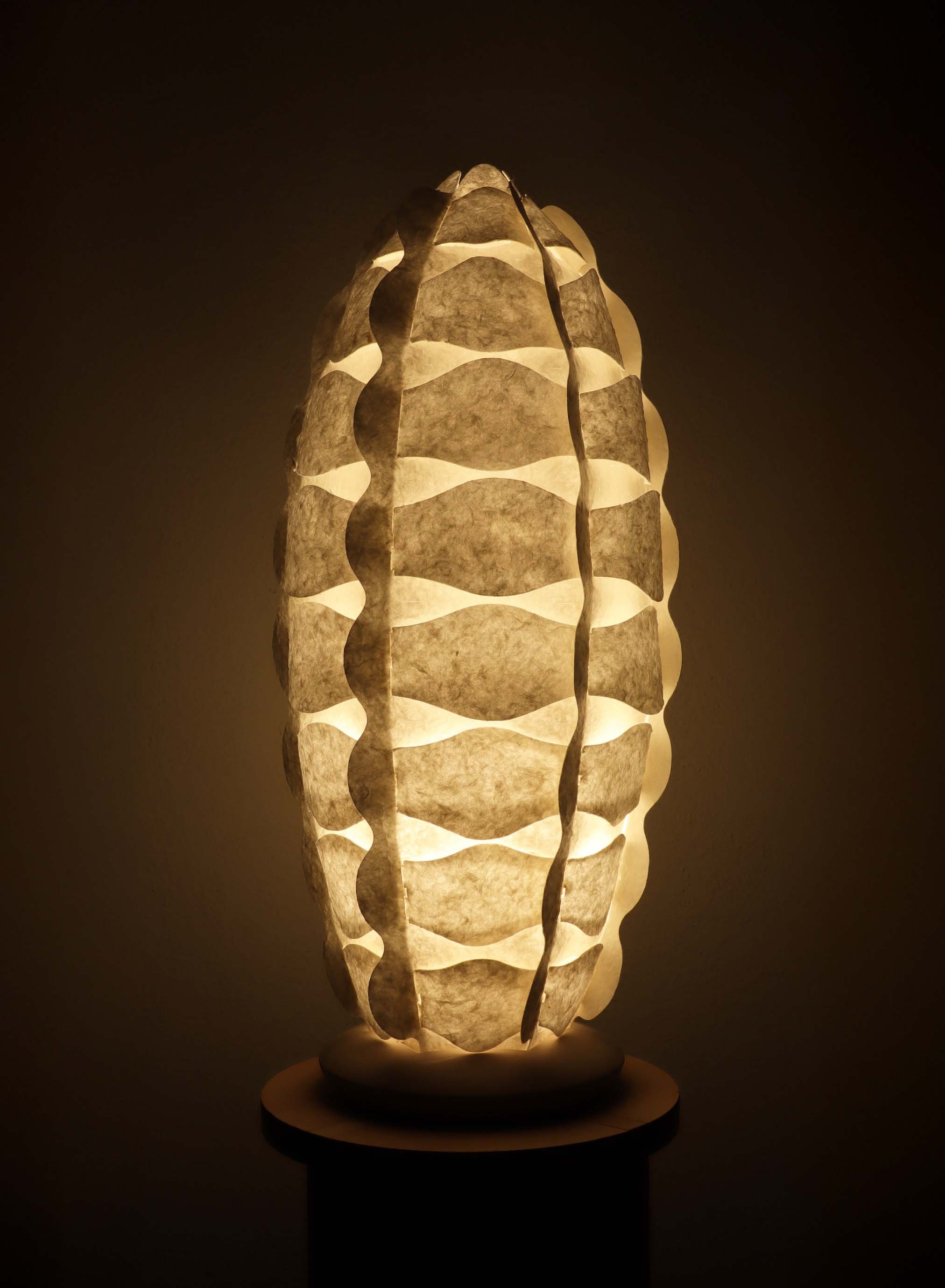 ben-grace-cereus-table-lamp-natural.jpg