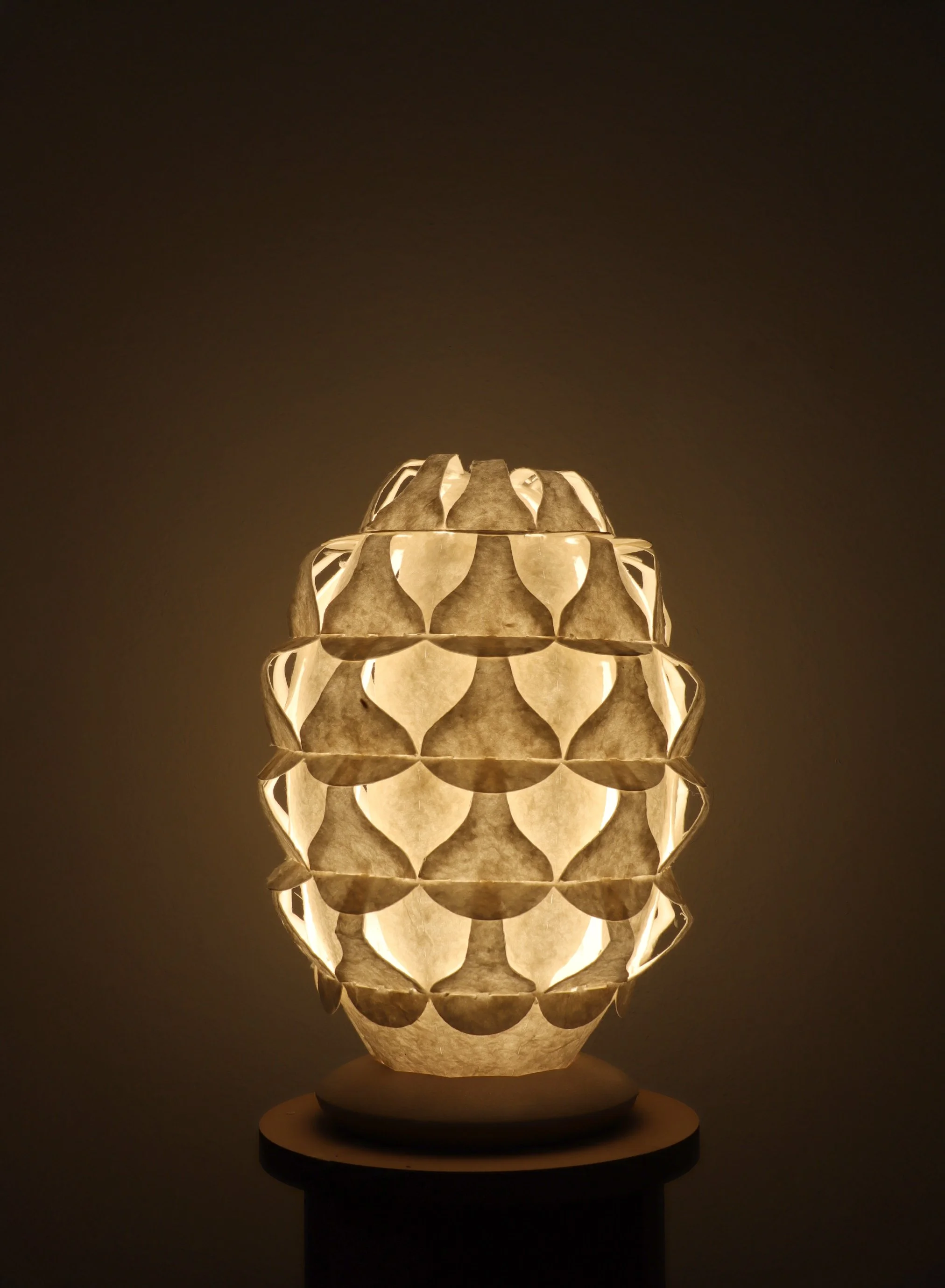 protea lamp textured for website.jpg