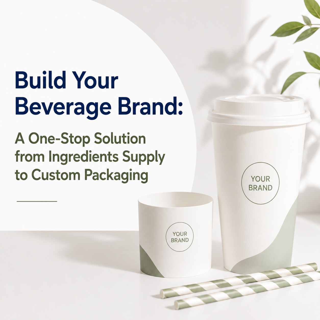 Beverage Ingredients Supplier &amp; Custom Packaging Solutions