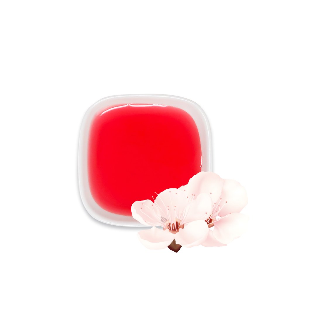 Sakura syrup with cherry blossom – soft pink color and floral aroma for seasonal drinks.