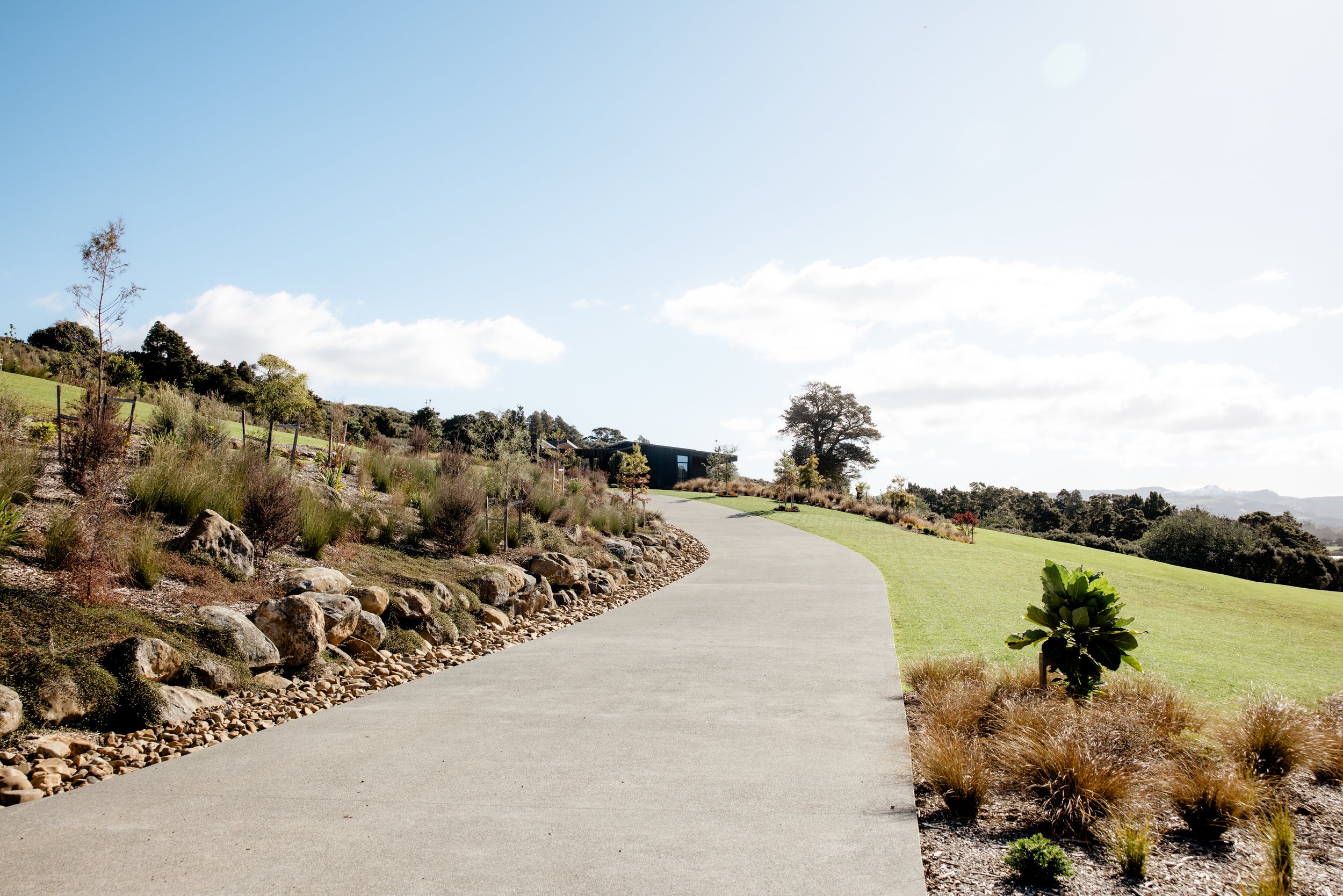DBYN-Landscapes-2154.jpg