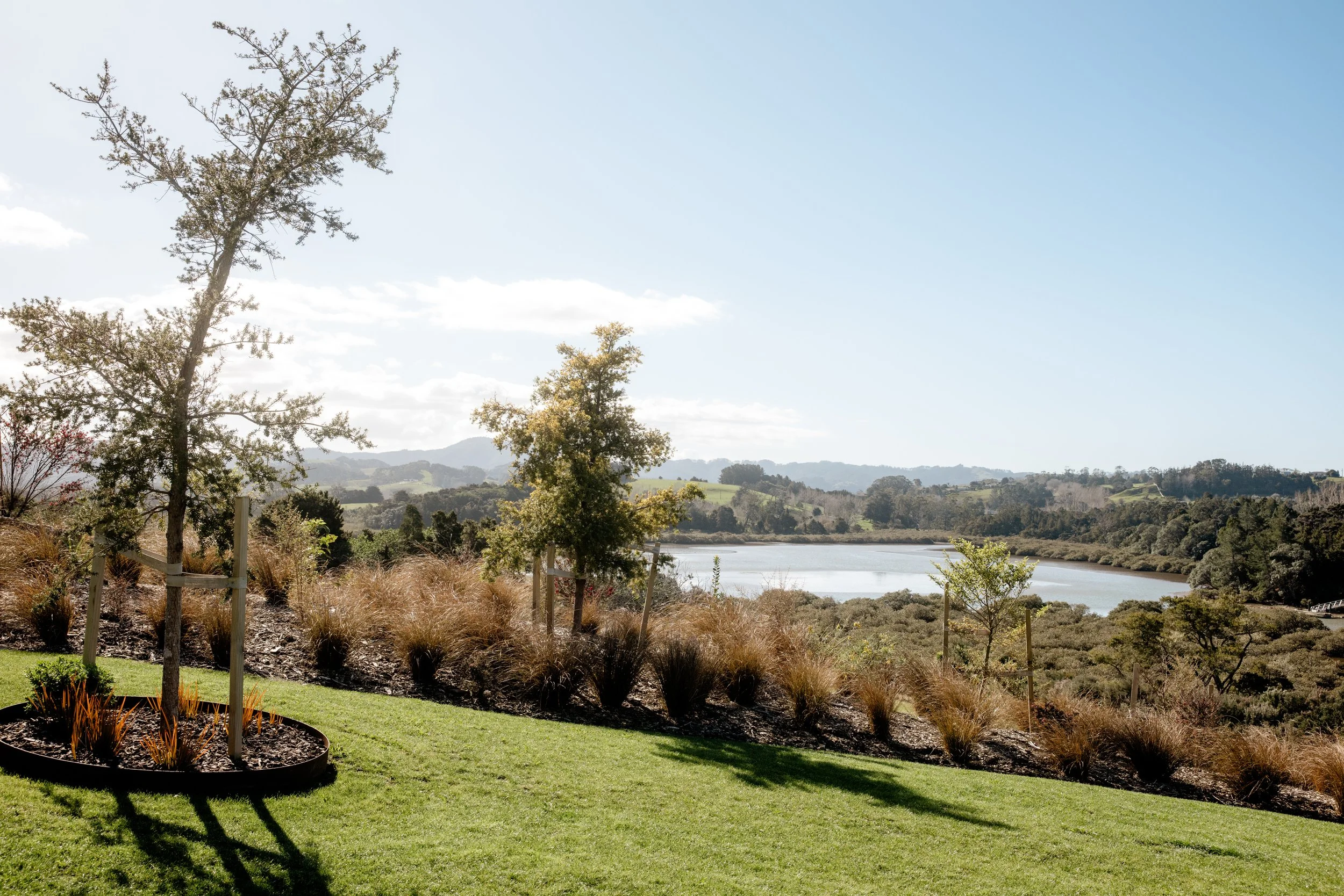 DBYN-Landscapes-2123.jpg