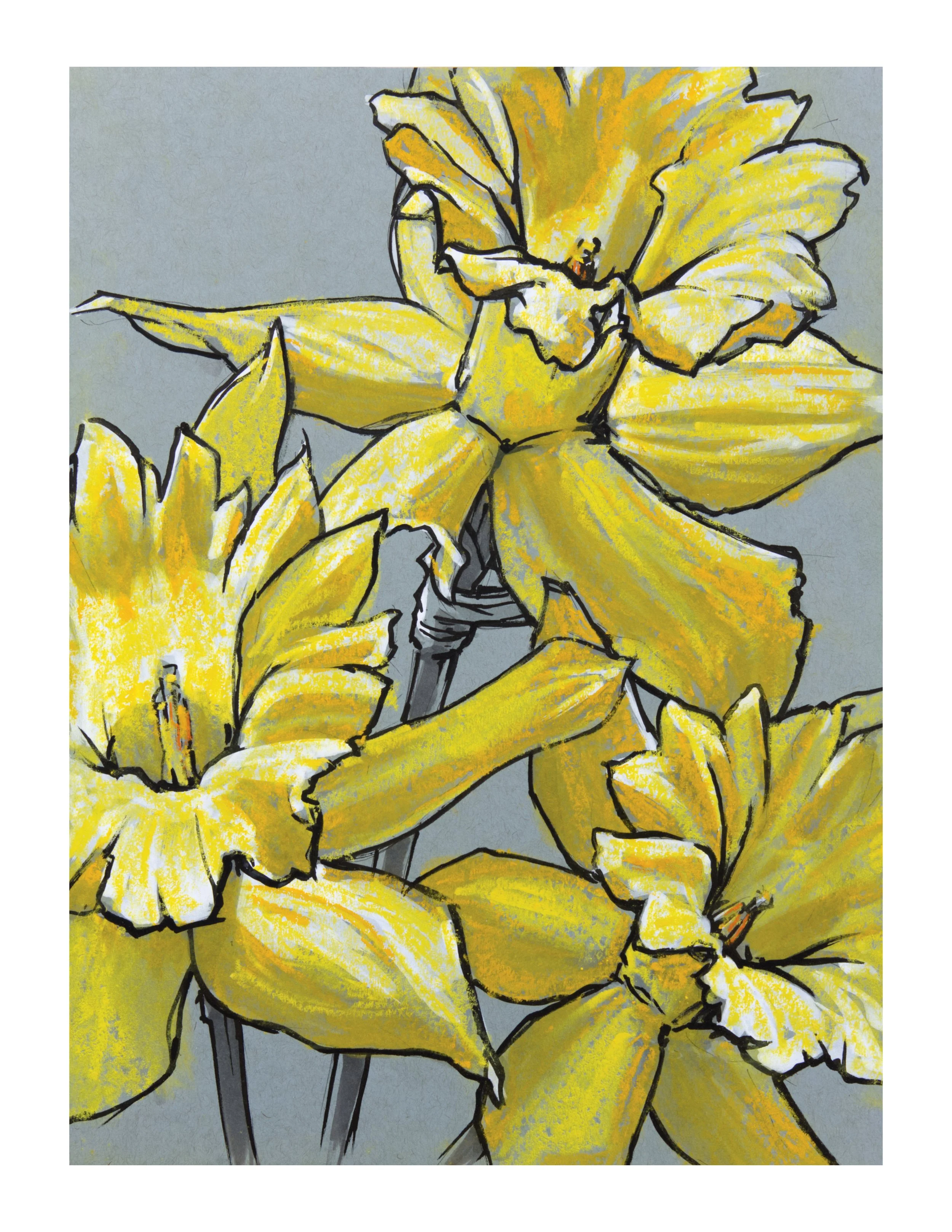 Daffodils.jpg