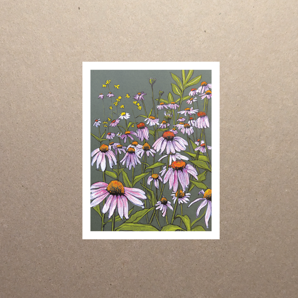 cone flowers