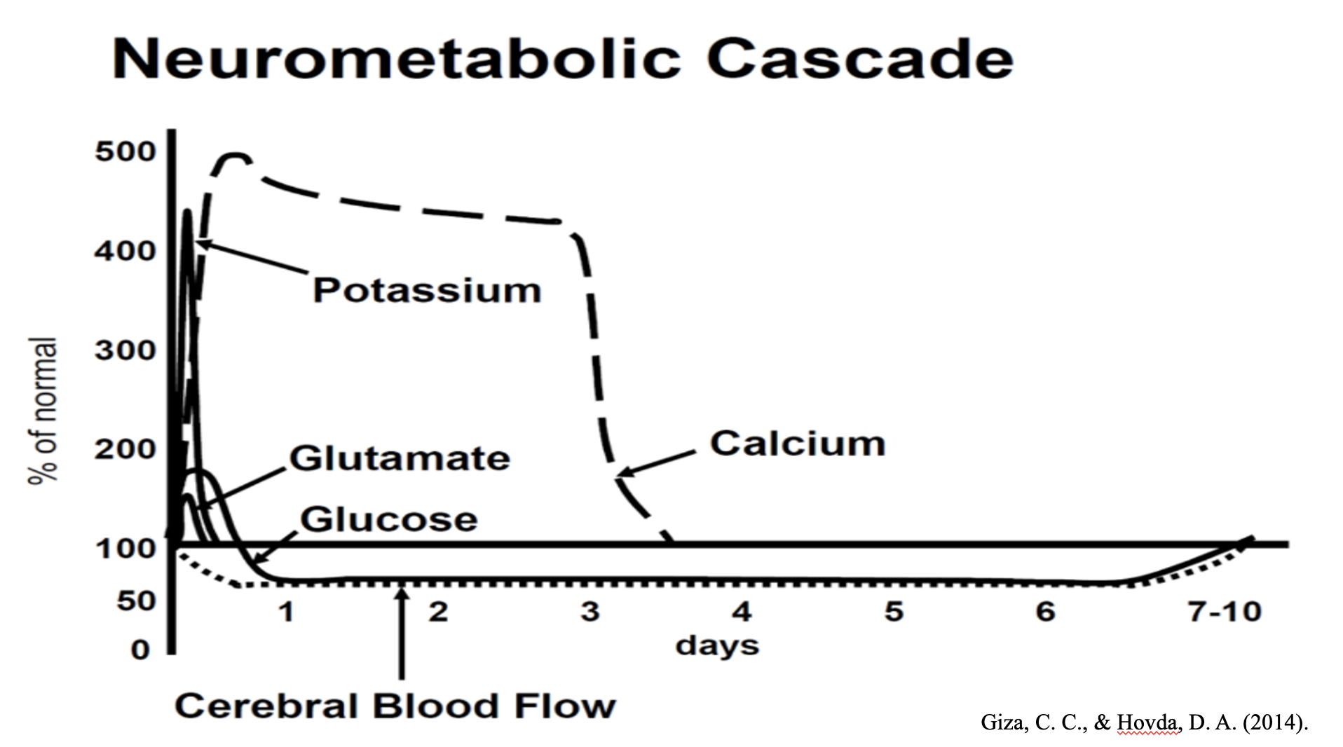 neurometabolic cascade of a concussion