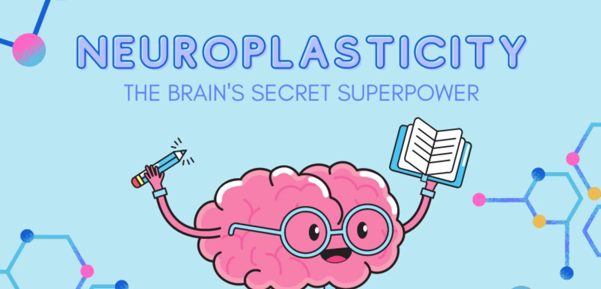 animated brain neuroplasticity