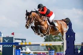 equestrian.jpeg