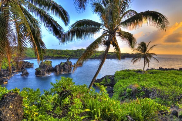 maui.jpeg