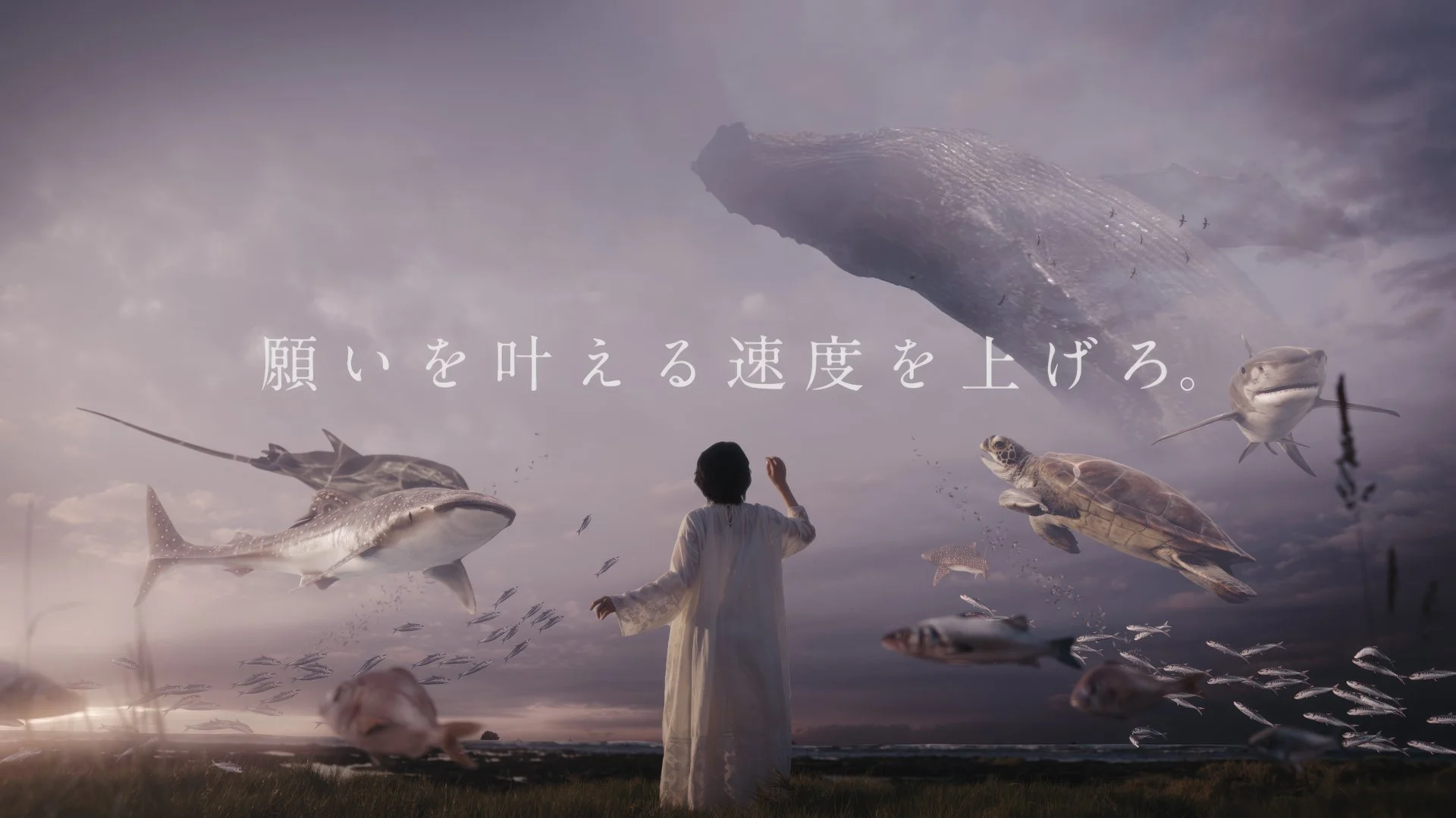 AU Commercial