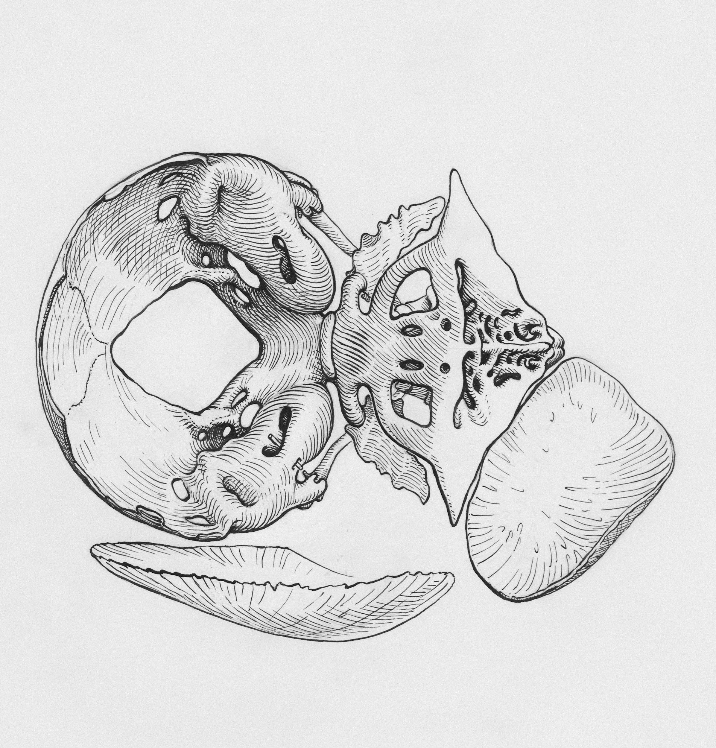 Cranial Osteopathy &amp; Headaches + stress related symptoms