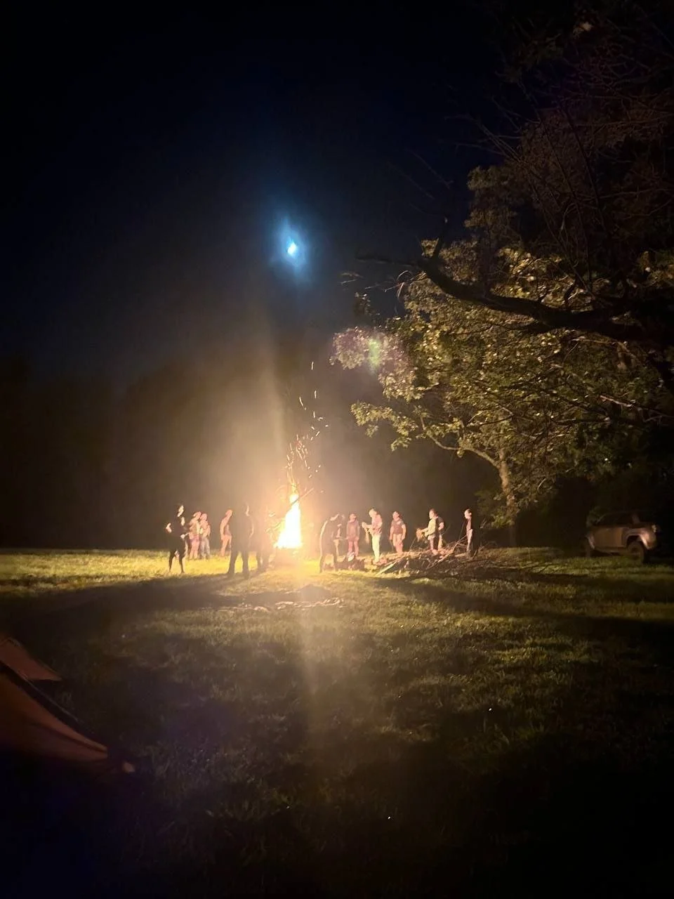 Harii Midsummer